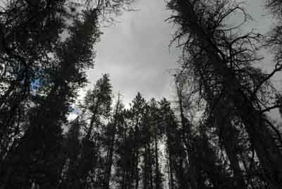 The Rocky Mountains in the Colorado state, United States. Photographs by Amar Guillen.